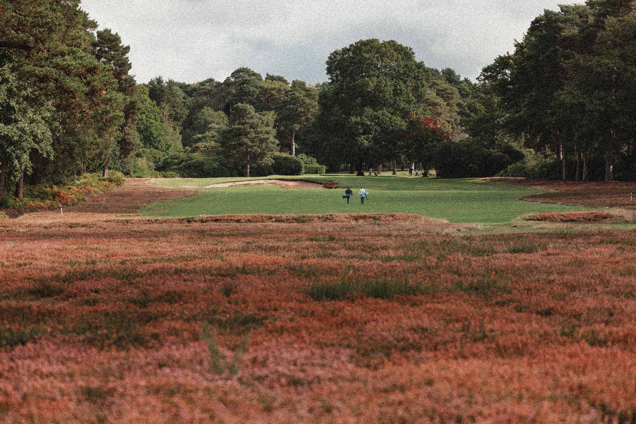Golf course landscape